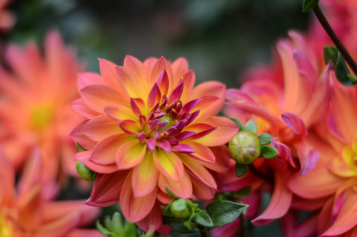 1649891 (a): :2560x1695